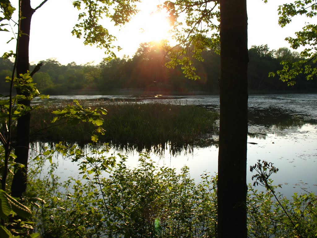 View from E side of Highland Pond - May 14 2010