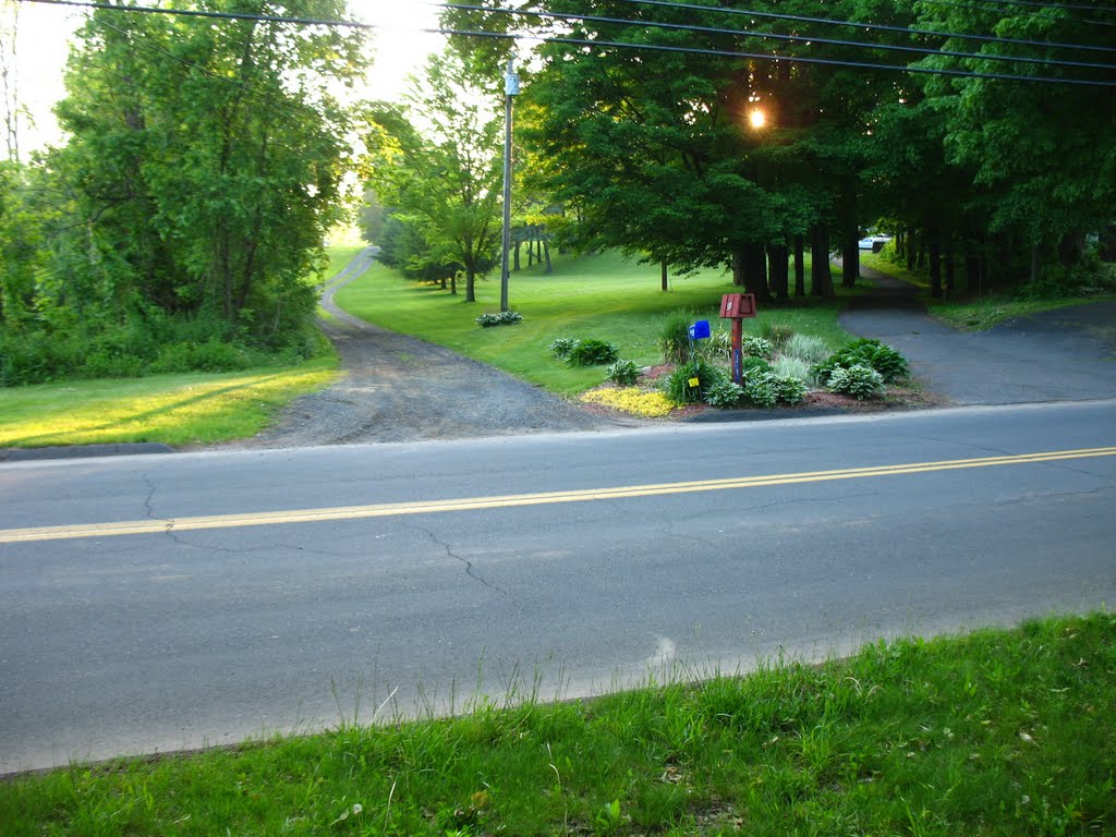 Mattabesett Trail on Atkins St., Middletown - May 14 2010