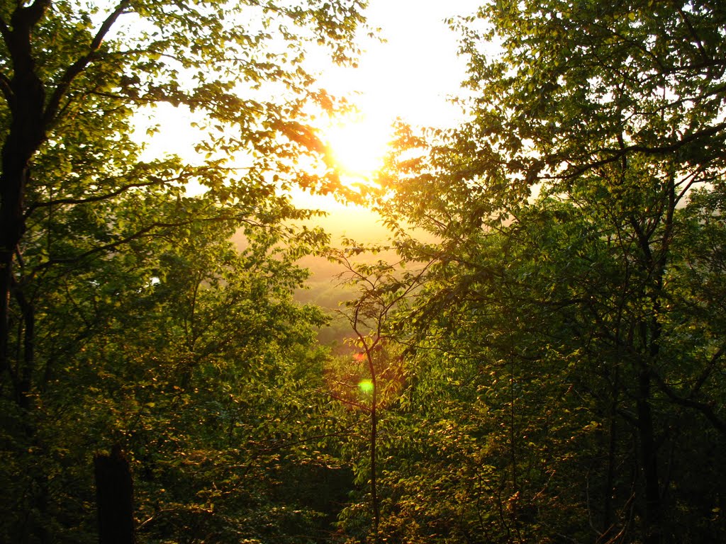 Sun setting through trees from Mattabesett Trail at N end of Lamentation Mtn. - May 24 2010