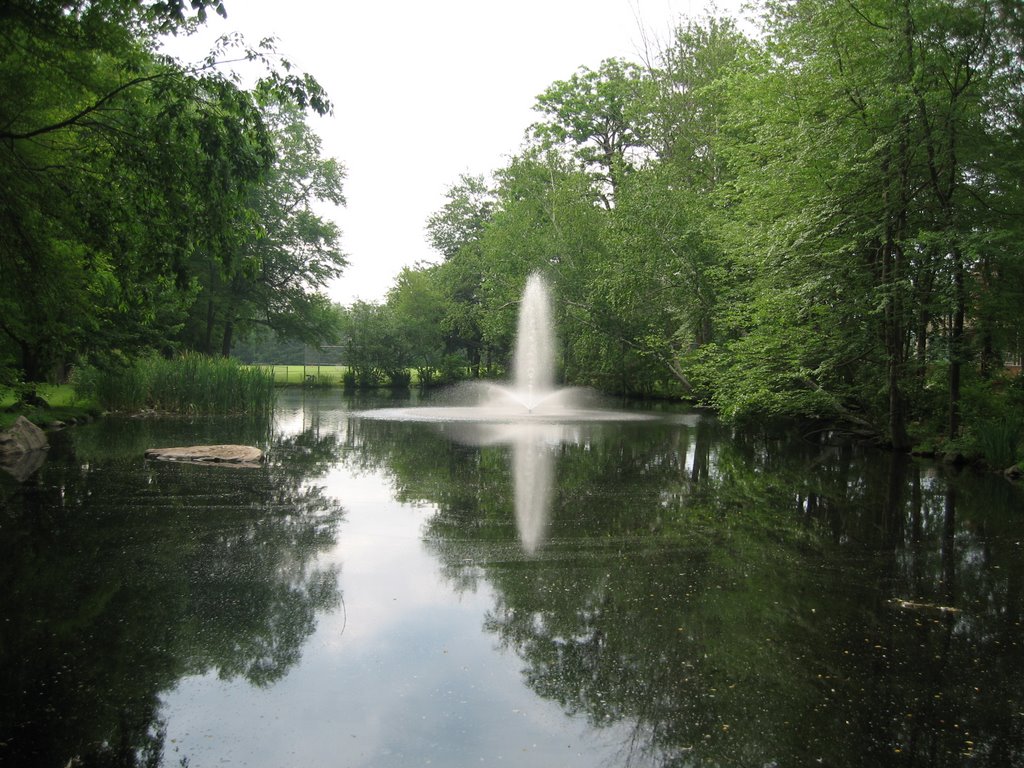 Chase: Pond