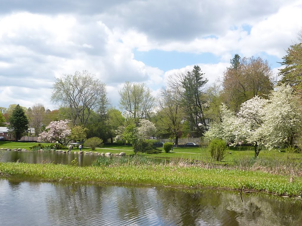 Fulton Park, Waterbury
