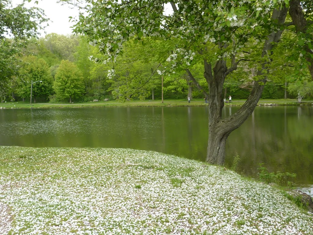 Spring