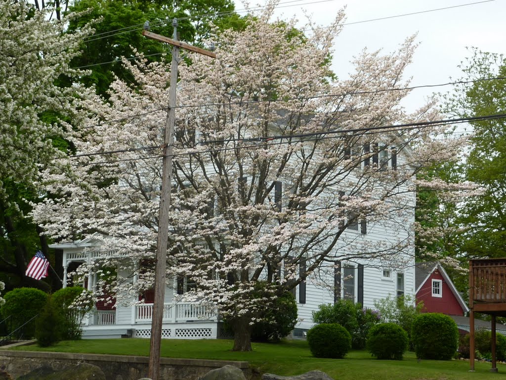 Cooke st.