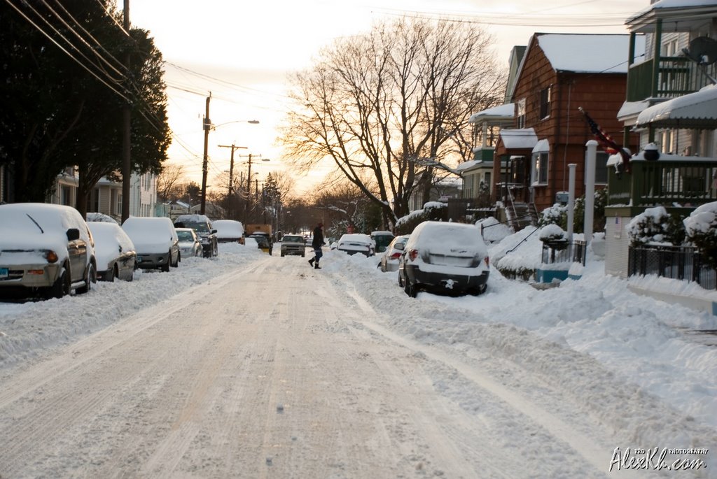 Snow covered cars © www.AlexKh.com