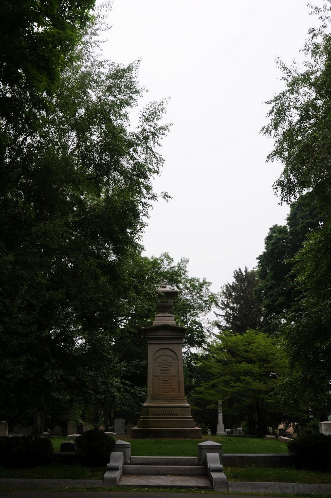 pt barnum family plot