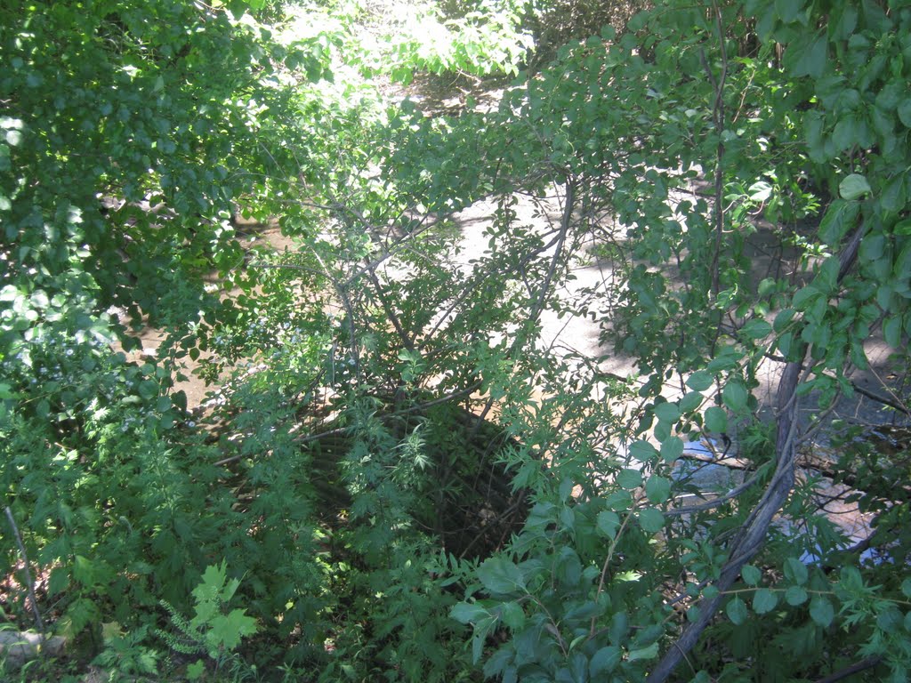 Turney Creek goes under the traffic circle