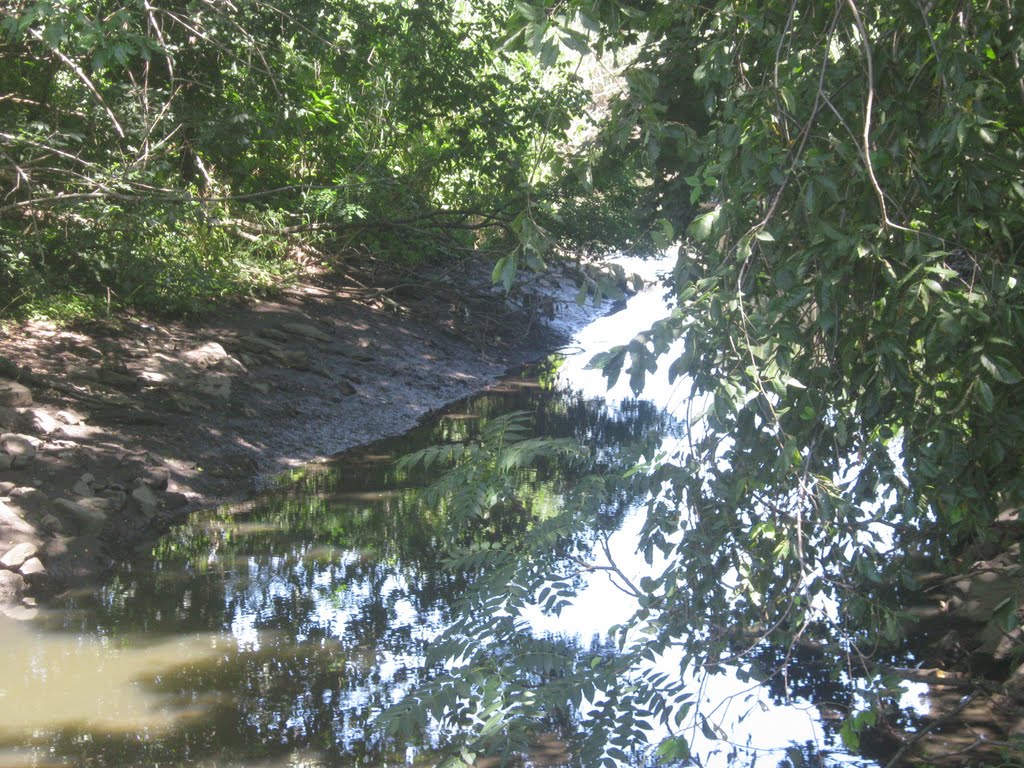 turney creek flowing towards ash creek