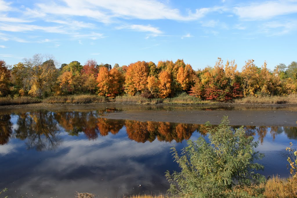 Ash Creek in fall