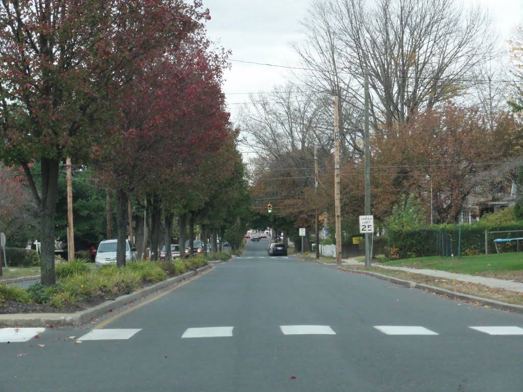 North Avenue Bridgeport CT