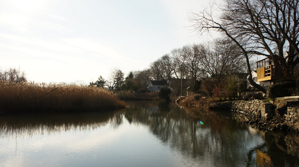 marsh and houses