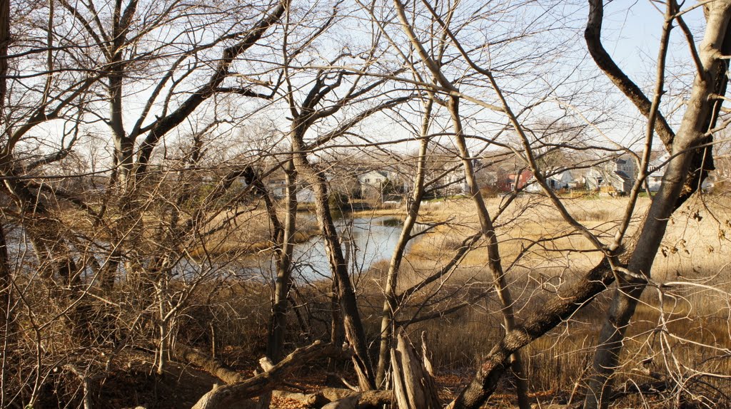 Marsh Creek