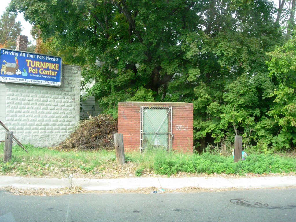 tiny house
