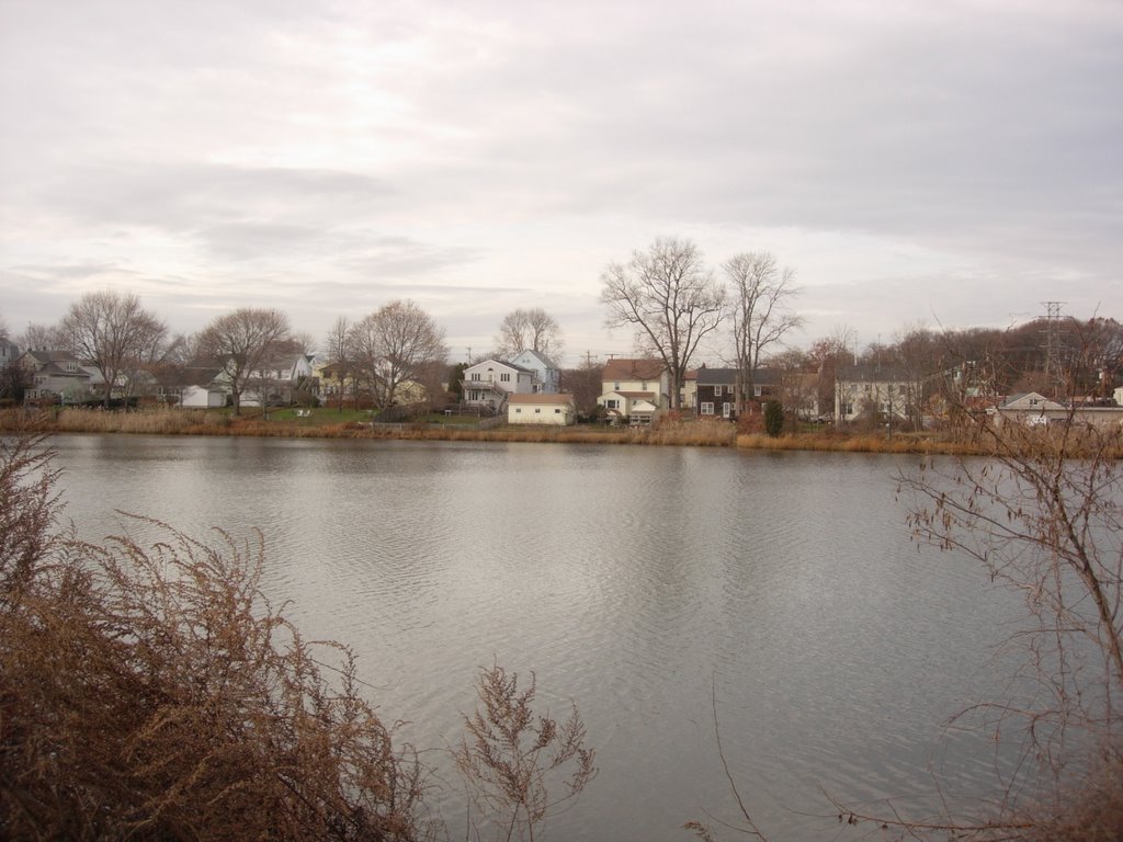 houses across river