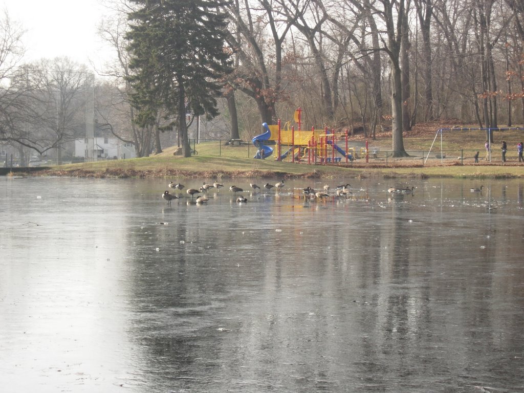 Pond at Gould Manor Park, Fairfield