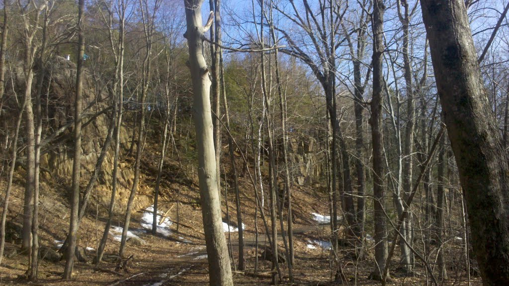 Upper Ridge-Crowning Cliffs from Tower Trail, Talcott Mountain, Simsbury, CT March 20, 2011