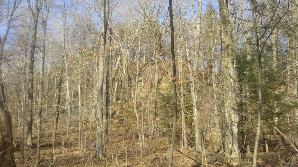 Upper Ridge-Crowning Cliffs Through Forest from Tower Trail, Talcott Mountain, Simsbury, CT March 20, 2011
