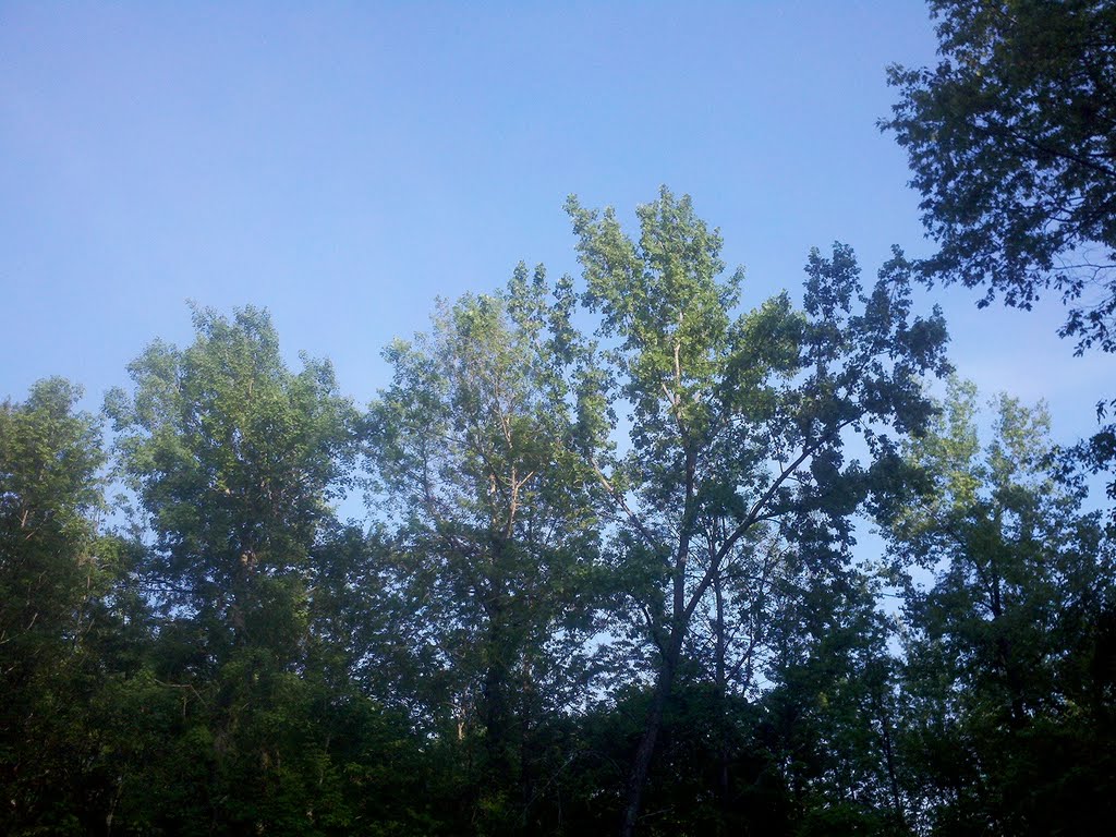 Metacomet Trail, Bloomfield, CT May 27 2011