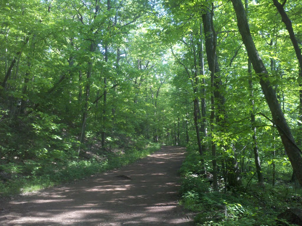 Heublein Tower Trail, Talcott Mountain State Park, Simsbury, CT May 27 2011