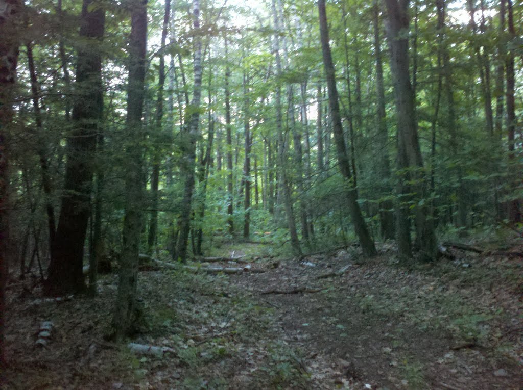 Heublein Tower Trail and Cliff Walk, Talcott Mountain State Park, Simsbury, CT June 2 2011
