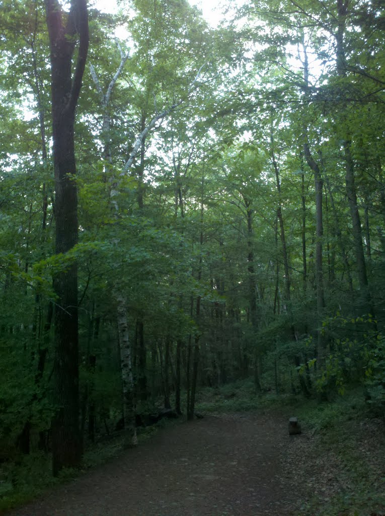 Heublein Tower Trail and Cliff Walk, Talcott Mountain State Park, Simsbury, CT June 2 2011