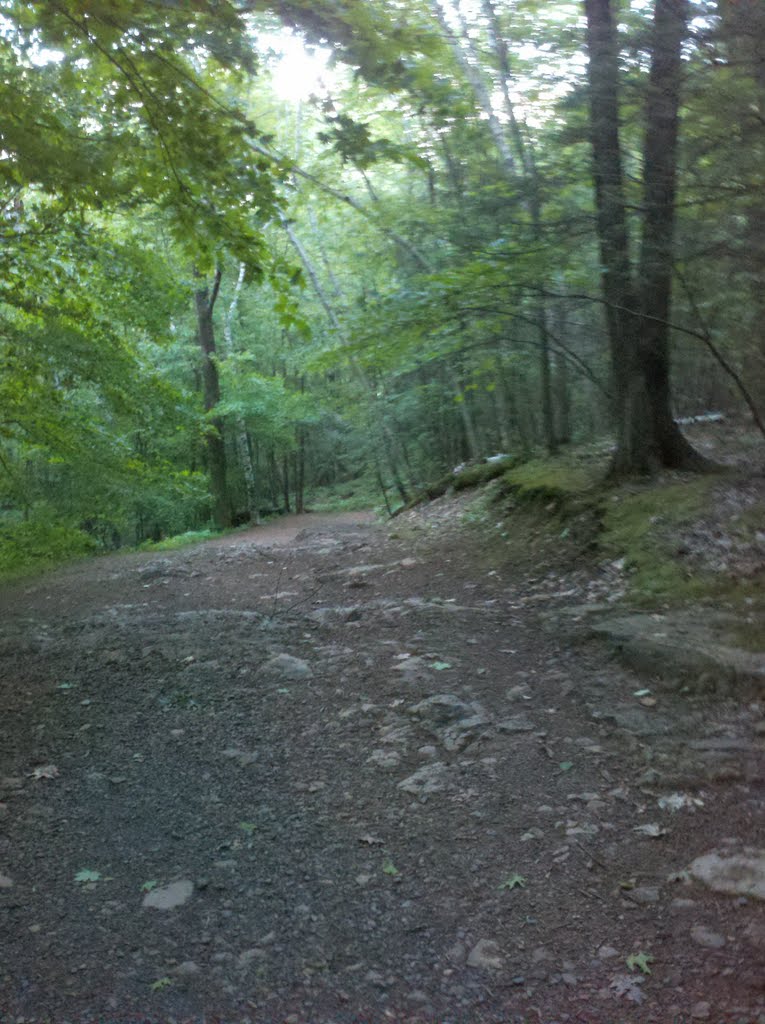 Heublein Tower Trail and Cliff Walk, Talcott Mountain State Park, Simsbury, CT June 2 2011