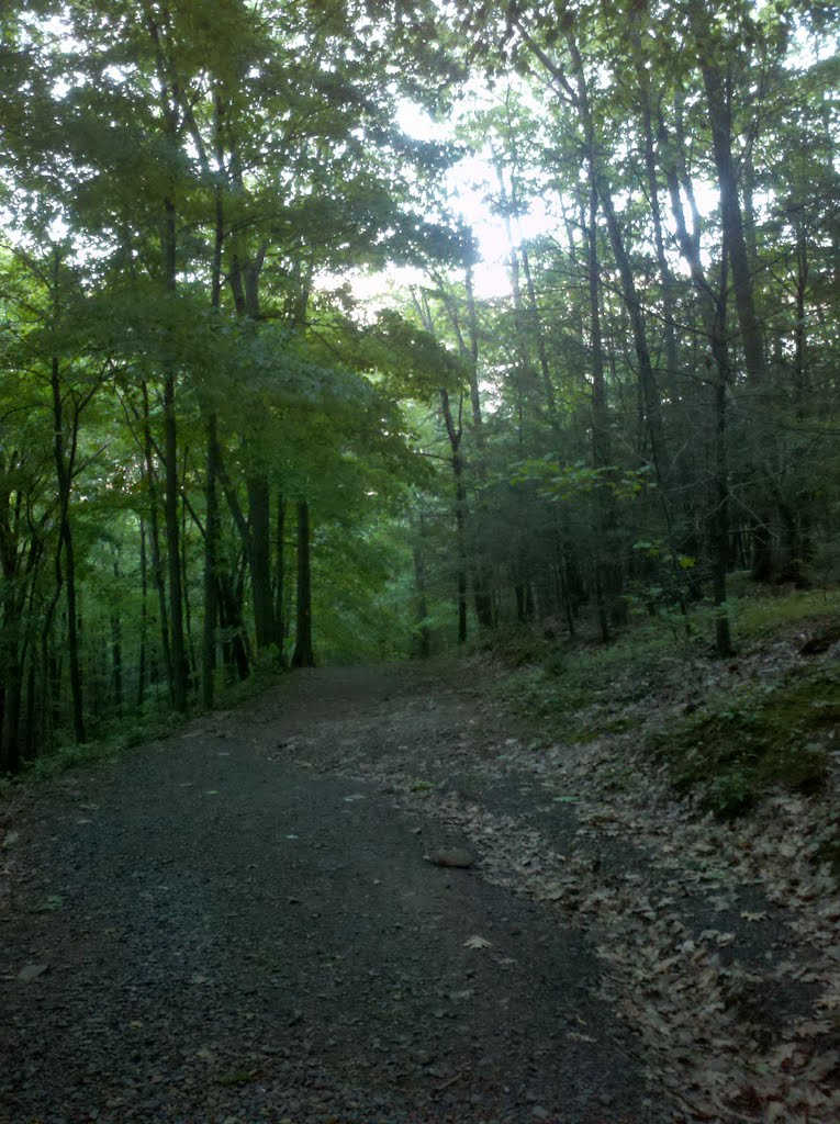 Heublein Tower Trail and Cliff Walk, Talcott Mountain State Park, Simsbury, CT June 2 2011
