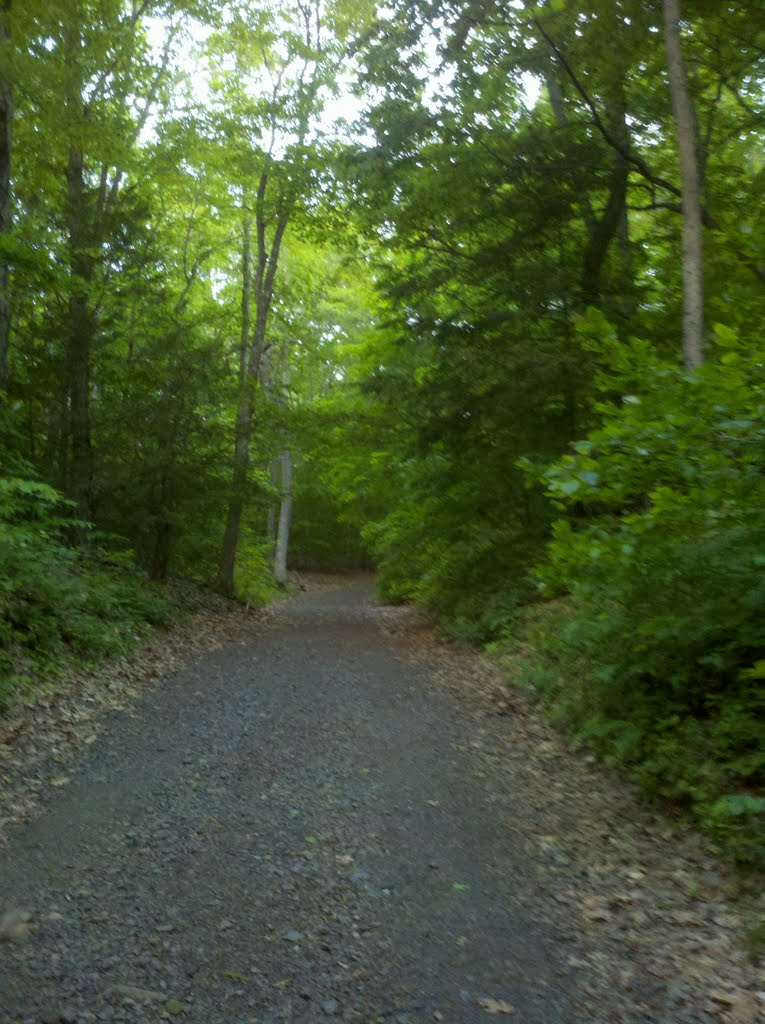 Heublein Tower Trail and Cliff Walk, Talcott Mountain State Park, Simsbury, CT June 2 2011
