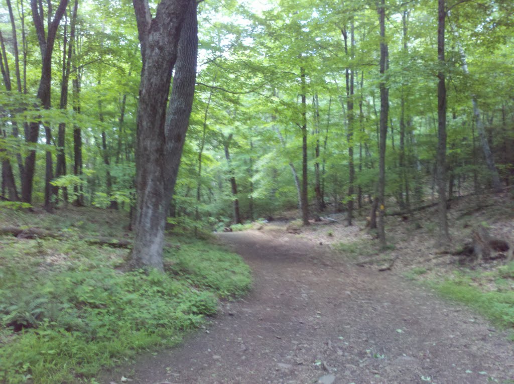 Heublein Tower Trail and Cliff Walk, Talcott Mountain State Park, Simsbury, CT June 2 2011