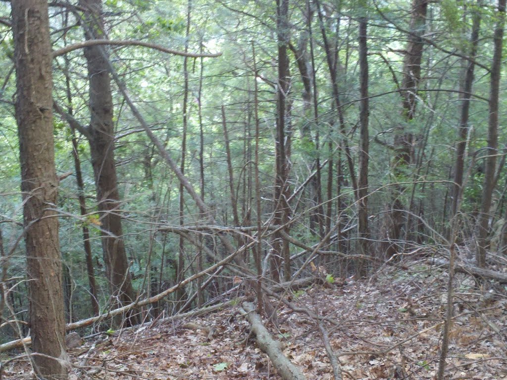 Heublein Tower Trail and Cliff Walk, Talcott Mountain State Park, Simsbury, CT June 2 2011