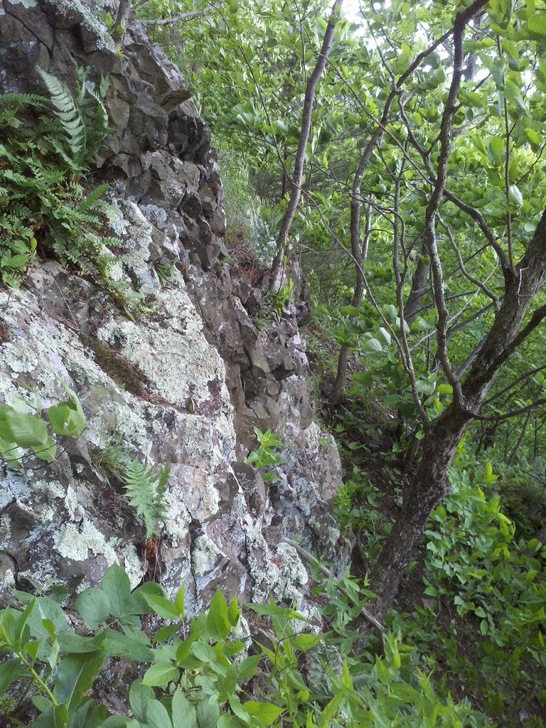 Just Above Base of Ledges on Steep Spur Trail off Cliffline Trail, Talcott Mountain State Park, Simsbury, CT June 2 2011