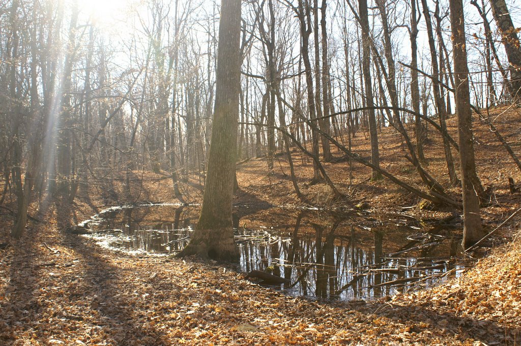 Pool in Talcott Mountain State Park