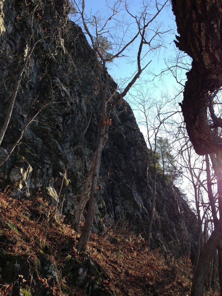 Views from Below Talcott Mountain Cliffs, 11222012