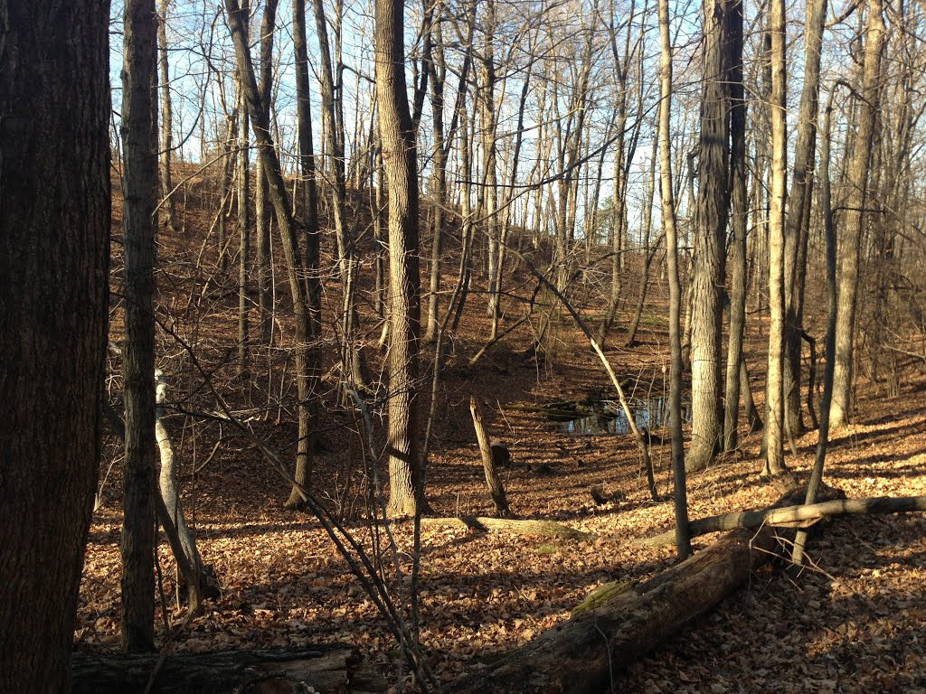 Highland Pond and Barren Forest from Tower Path on Talcott Mountain, 11222012