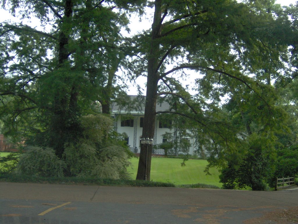 City Park Blvd. Garden District