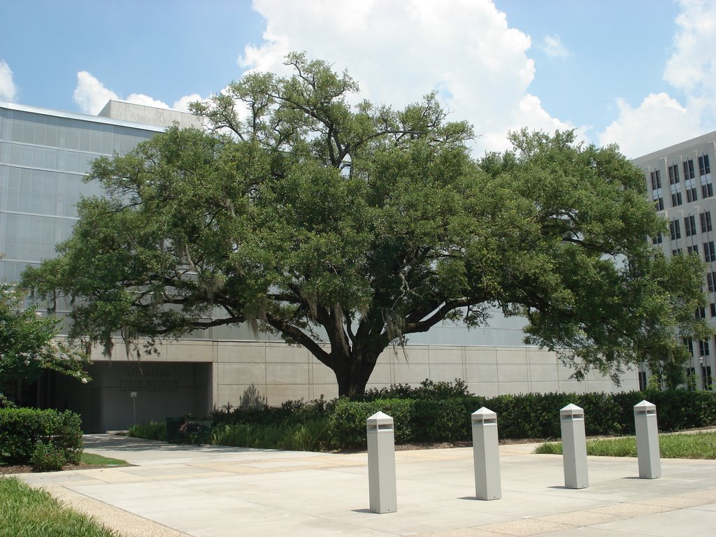 Louisiana State Museum