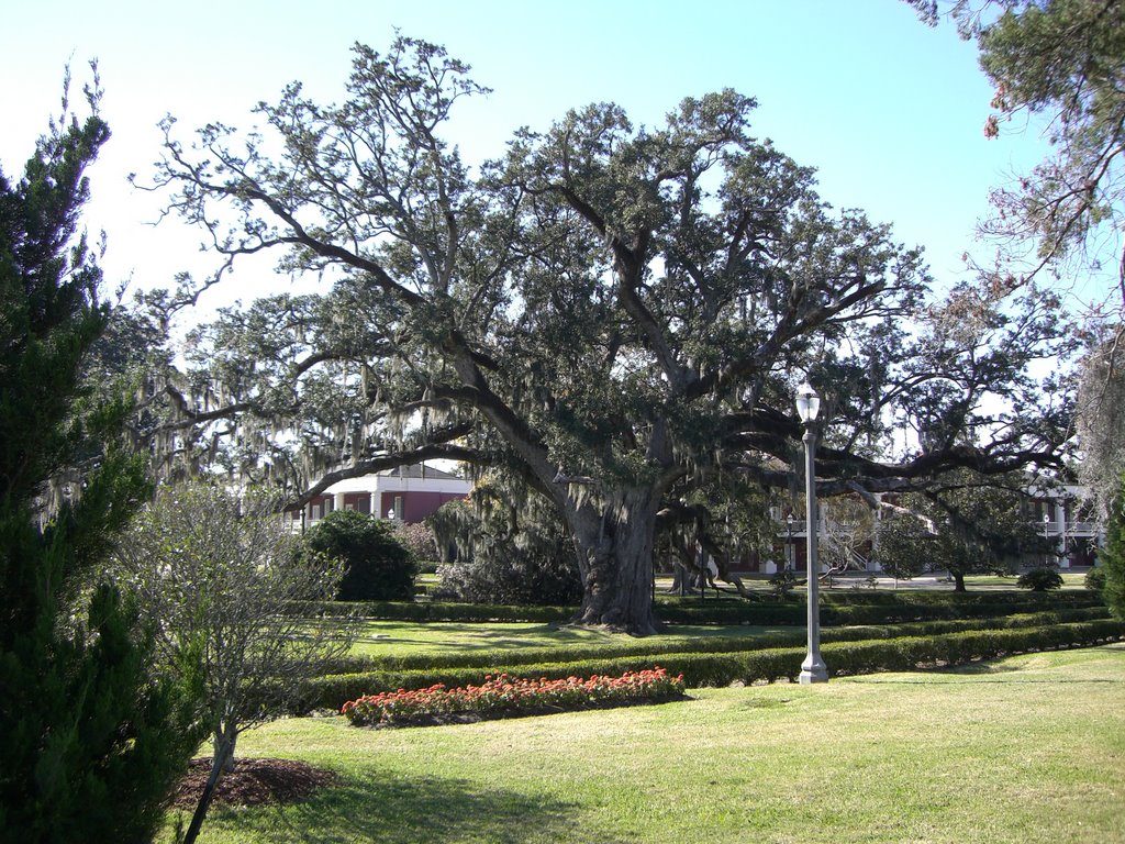 Capitol Park