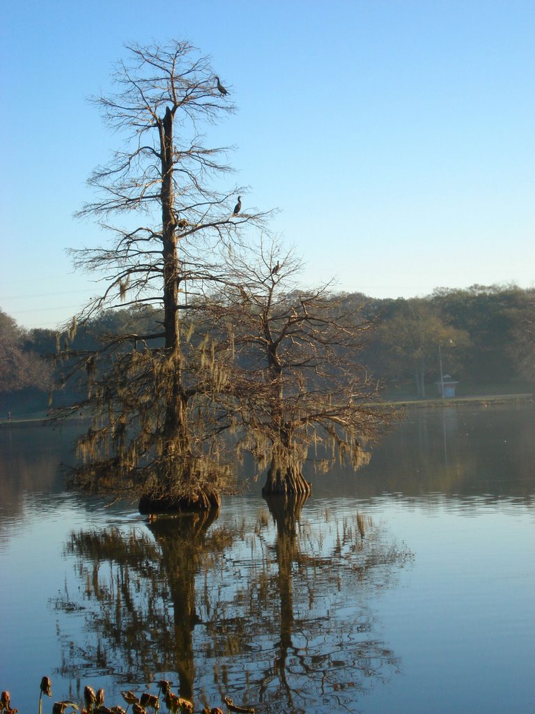 LSU Lakes Cypress