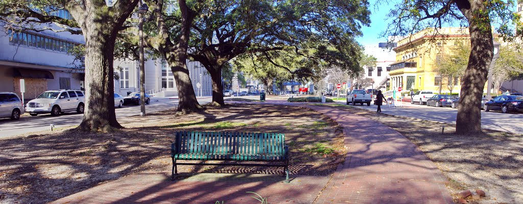 2013 03-14 Baton Rouge, Louisiana - north Blvd Promenade