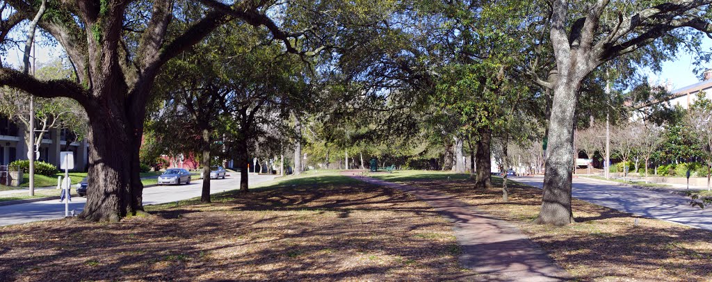 2013 03-14 Baton Rouge, Louisiana - north Blvd Promenade
