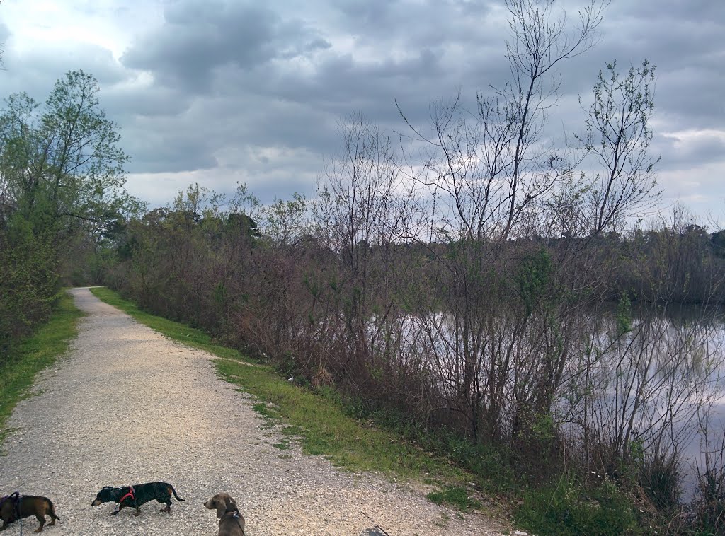 Blackwater Conservation Area