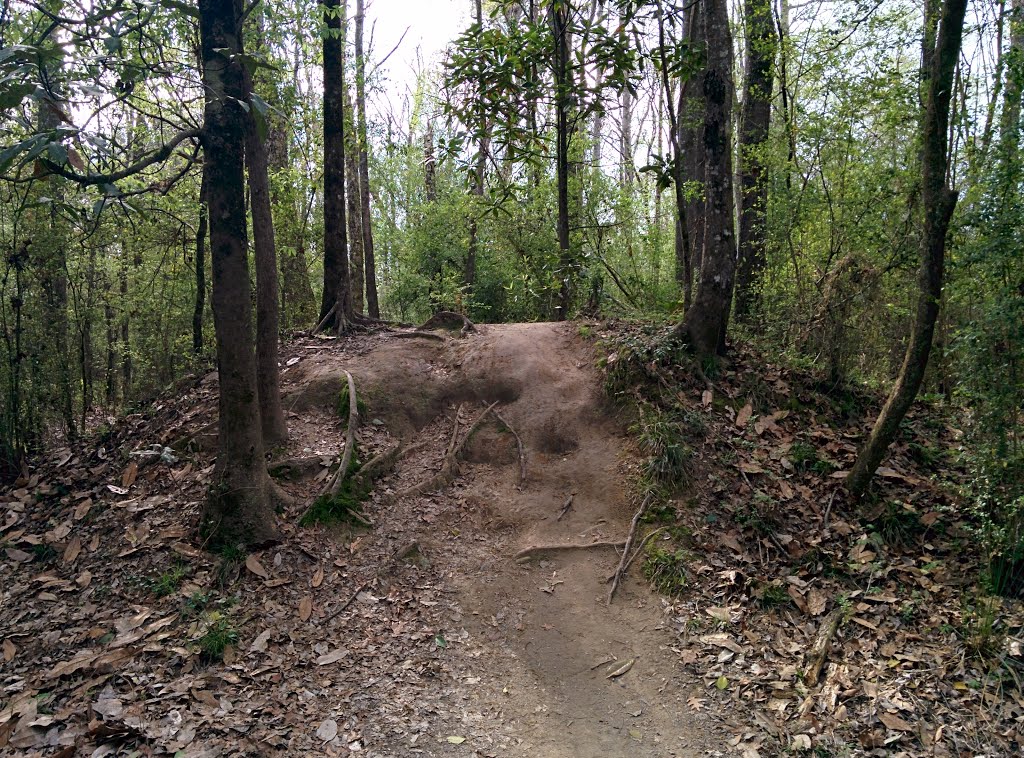 BREC Comite River Park Trail