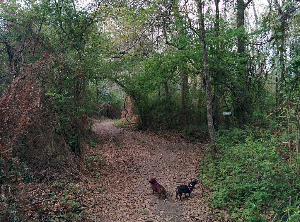 BREC Comite River Park Trail