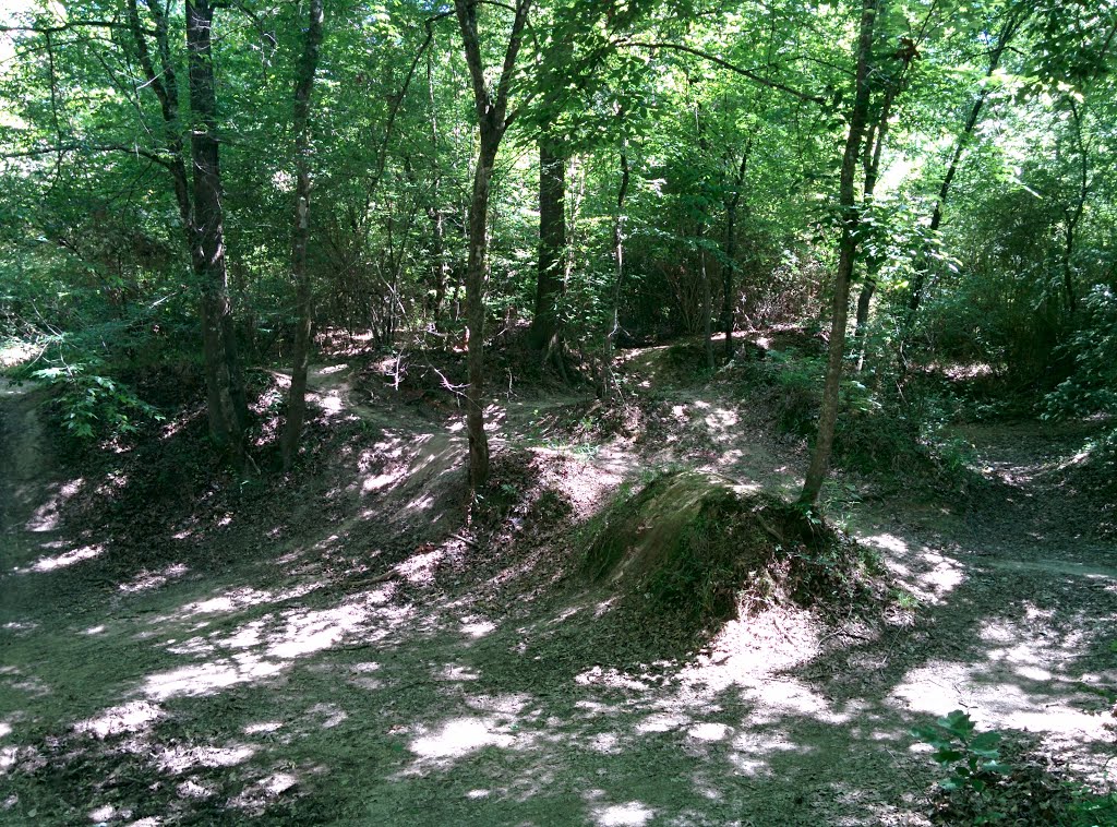 BREC Comite River Park Bike Trail