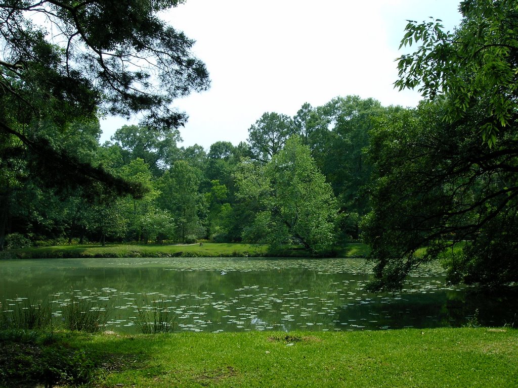 Pond at Cohn Arboretum