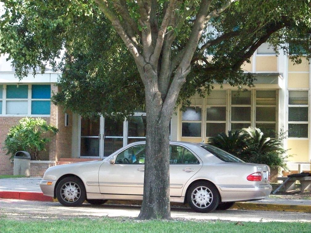 Southern Lab K-12