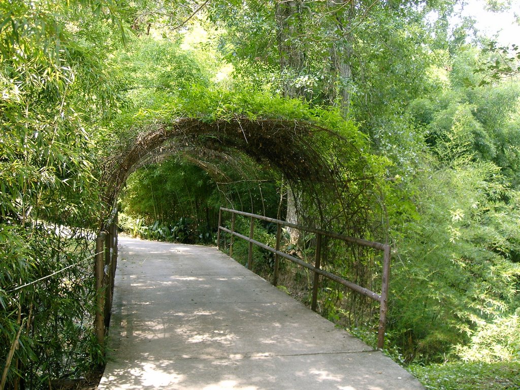 green woven tunnel