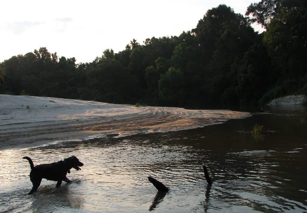 Beach @ Comite Trails