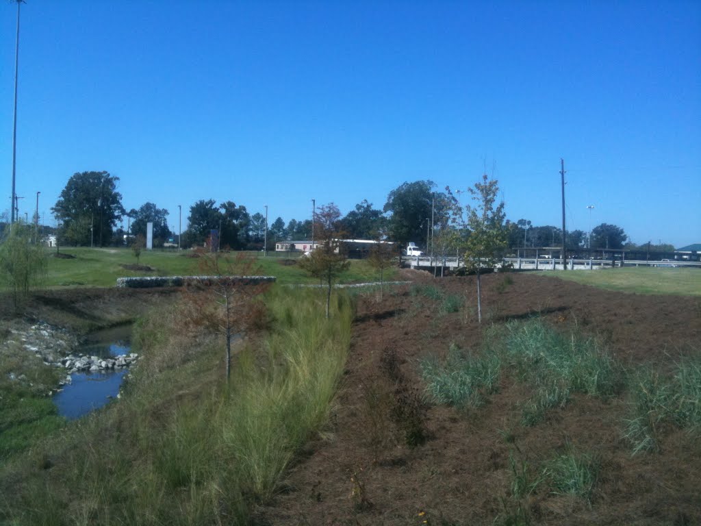 Monte Sano Bayou Renaturalization
