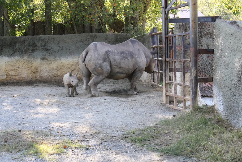 Zoo