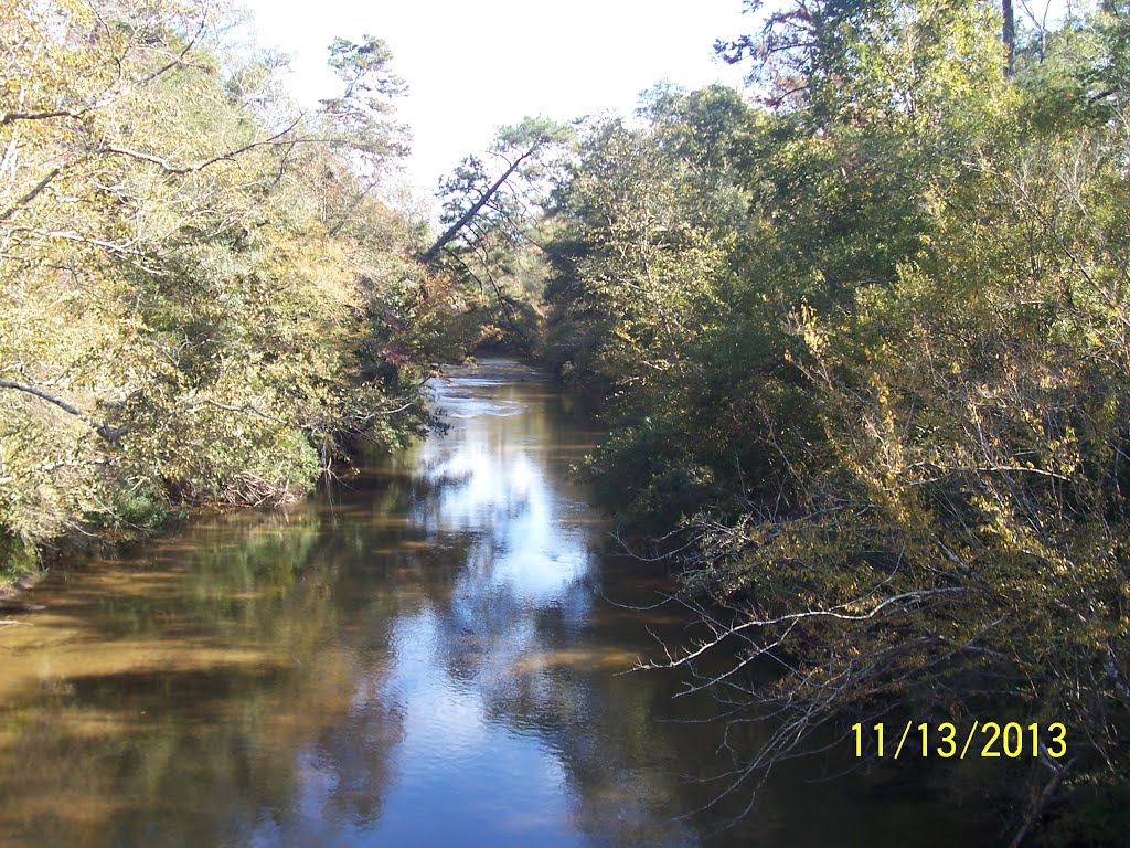 Pushepatapa Creek @ Dollar Road East View